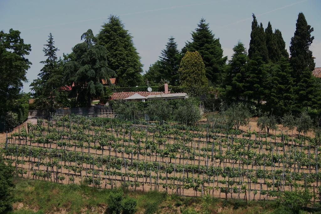 Agriturismo Podere La Fornace Cavriglia Extérieur photo