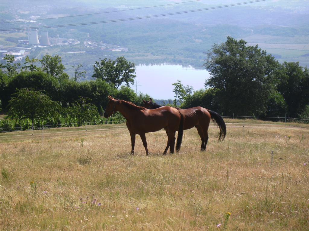 Agriturismo Podere La Fornace Cavriglia Extérieur photo