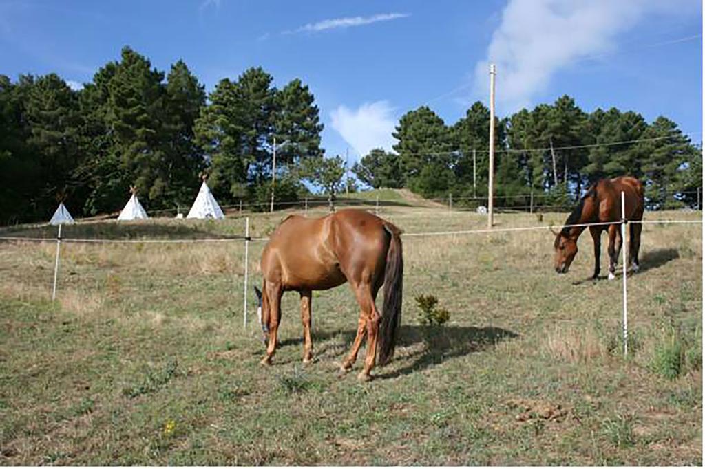 Agriturismo Podere La Fornace Cavriglia Extérieur photo